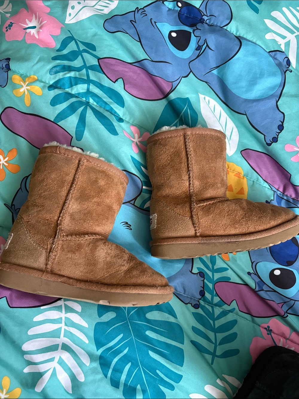UGG Classic Short Boots - Chestnut and Black Pairs - Picture 6 of 16